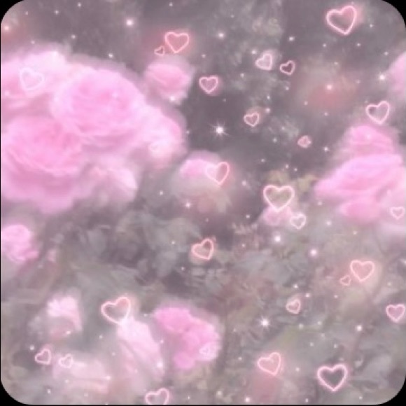 Meet your Posher, Liyah - Picture 1 of 1